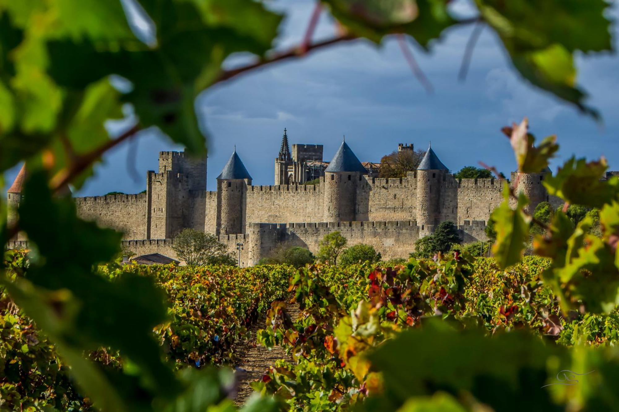 Maison Cantalauze - Pays Cathare - Carcassonne - Canal Du Midi Trèbes Exteriér fotografie